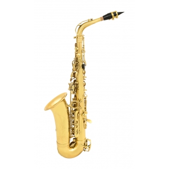 Custom ALS11 Saxofone Alto Laqueado Eb Mib + Estojo + Acessórios