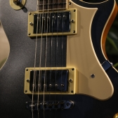 AMW SELP110 Silver Guitarra Les Paul Mogno Alnico HH by SQ Guitars