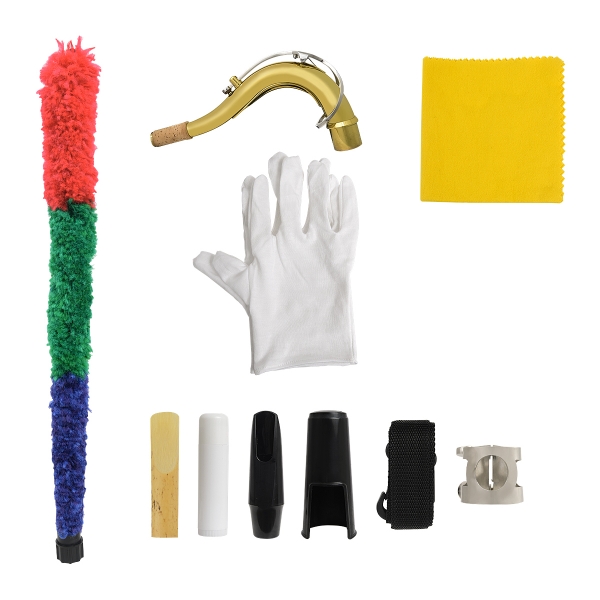 Custom Saxofone Tenor Bb Sib Dois Tons TNS13 + Estojo