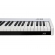 Midiplus X8 II White PRO 88 V2  Teclado Controlador Midi 88 Teclas Semi Pesadas