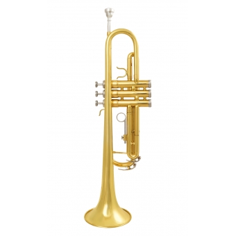 Amw Custom Trompete TR01 Laqueado Si Bemol + Estojo