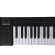 AMW Midiplus Band Teclado X8 II Black 88 Teclas