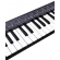 AMW Mini 32 PAD Black Teclado Controlador Midi 32 Teclas 8 PADs Arp Chord Hi End