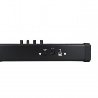 AMW Midiplus Band Teclado X8 II Black 88 Teclas
