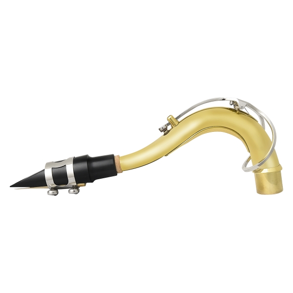 Custom Saxofone Tenor Bb Sib Dois Tons TNS13 + Estojo