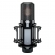 Takstar K850 Microfone Condensador XLR Profissional 34mm + Case